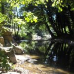 Camping L'orée Des Cévennes - Bild 7