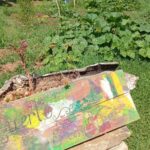 Camping Laspaúles - Bild 13 Camping Laspaúles - Bild 13