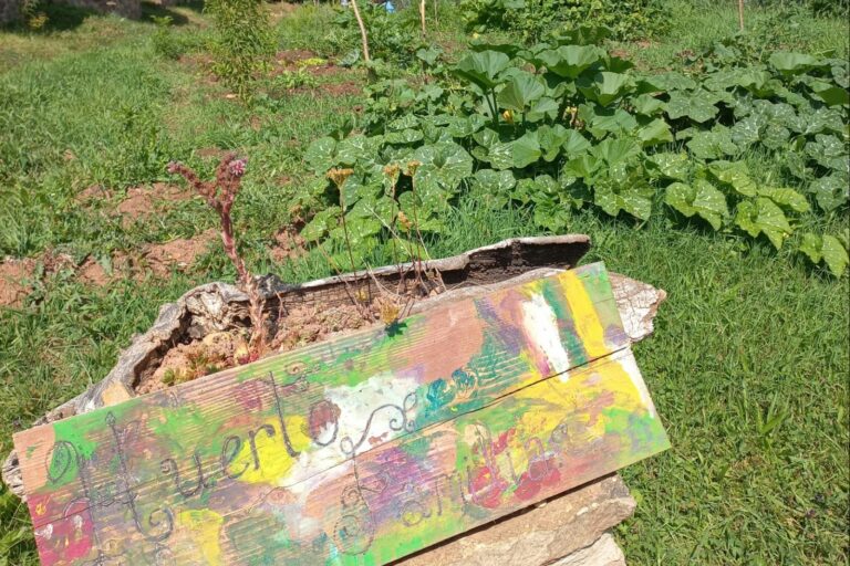 Camping Laspaúles - Bild 13 Camping Laspaúles - Bild 13