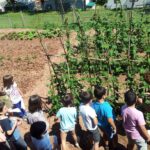 Camping Laspaúles - Bild 9 Camping Laspaúles - Bild 9