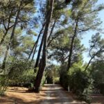 Camping Le Beau Vezé - Bild 12