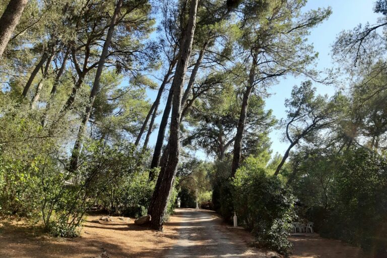 Camping Le Beau Vezé - Bild 12