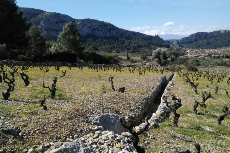 Camping Le Bois De Pins - Bild 10