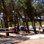 Camping Le Bois De Pins - Bild 13