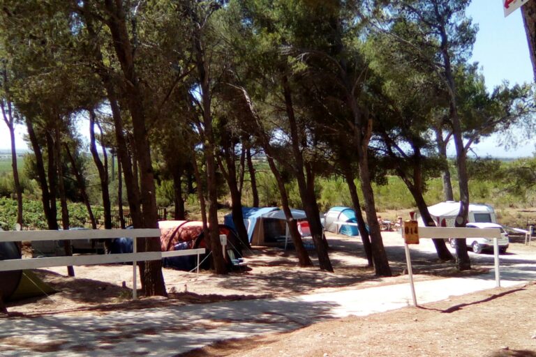 Camping Le Bois De Pins - Bild 13