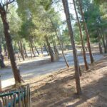 Camping Le Bois De Pins - Bild 6