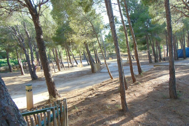 Camping Le Bois De Pins - Bild 6