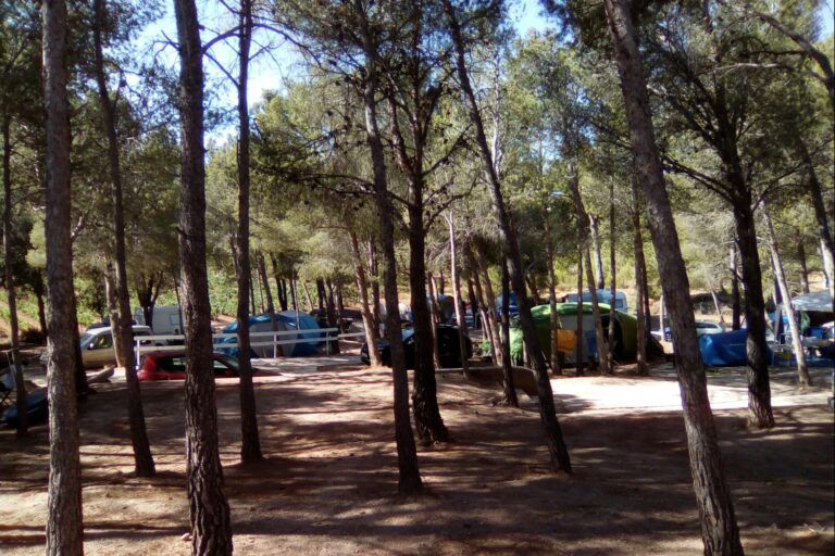 Camping Le Bois De Pins - Bild 9