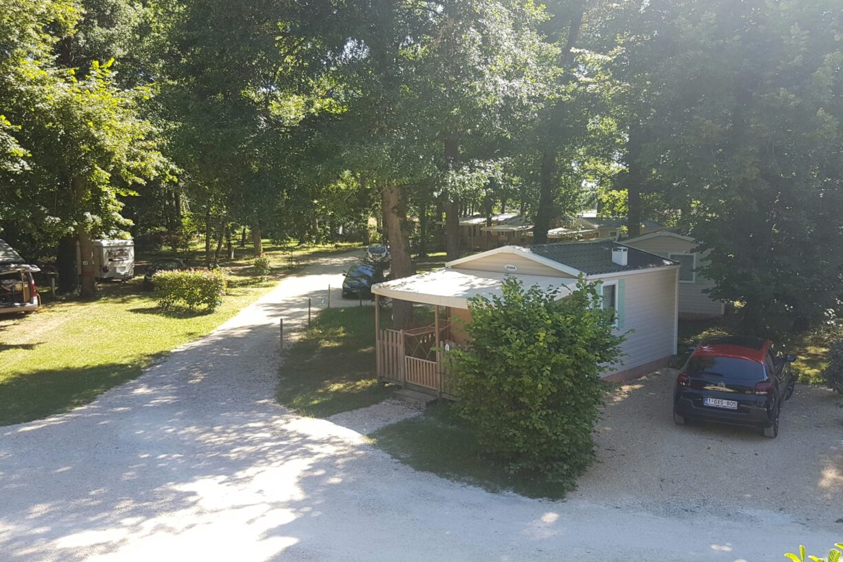 Camping Le Bois Du Coderc - Bild 3 Camping Le Bois Du Coderc - Bild 3