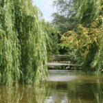 Camping Le Bois Joli - Bild 11