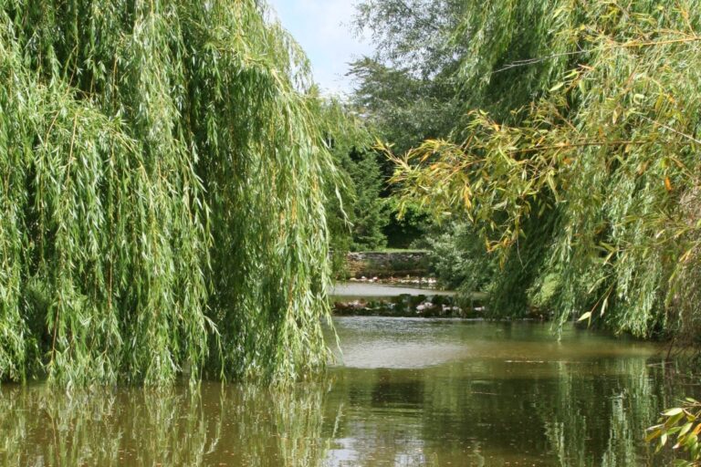 Camping Le Bois Joli - Bild 11