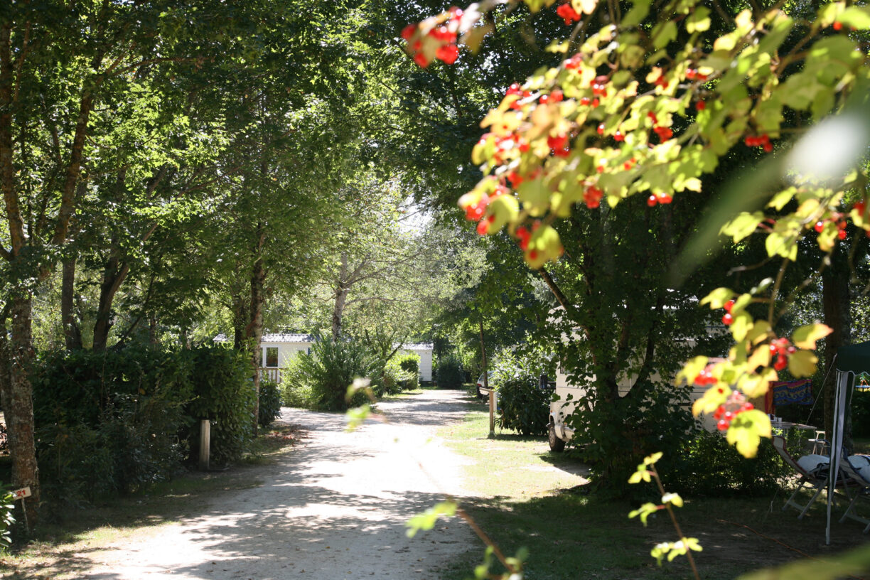 Camping Le Bosquet - Bild 13 Camping Le Bosquet - Bild 13