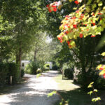 Camping Le Bosquet - Bild 13 Camping Le Bosquet - Bild 13