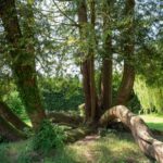 Camping Le Brévedent - Bild 11