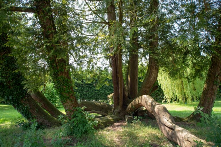 Camping Le Brévedent - Bild 11