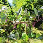 Camping Le Brévedent - Bild 7