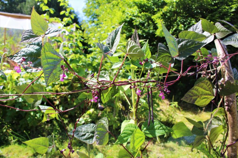 Camping Le Brévedent - Bild 7