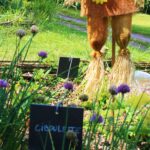 Camping Le Brévedent - Bild 8