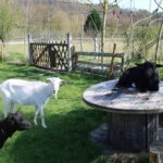 Camping Le Casties - Bild 15 Camping Le Casties - Bild 15