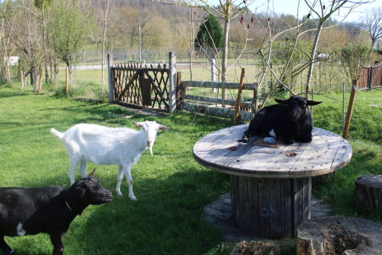 Camping Le Casties - Bild 15 Camping Le Casties - Bild 15