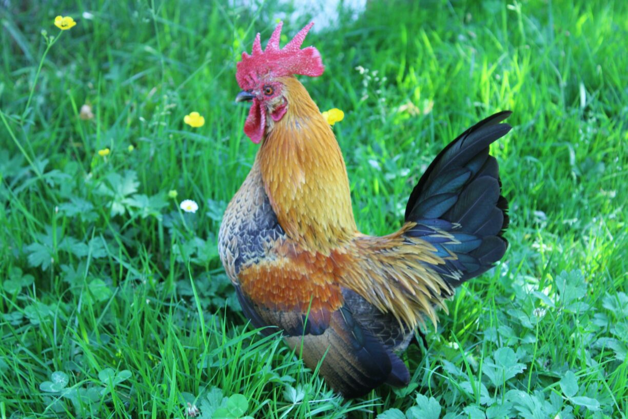 Camping Le Casties - Bild 16 Camping Le Casties - Bild 16