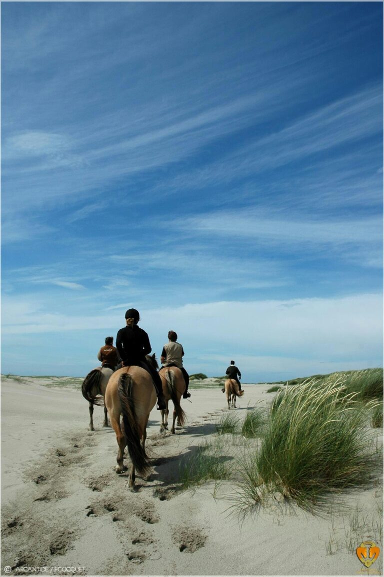 Camping Le Champ Neuf - Bild 18 Camping Le Champ Neuf - Bild 18