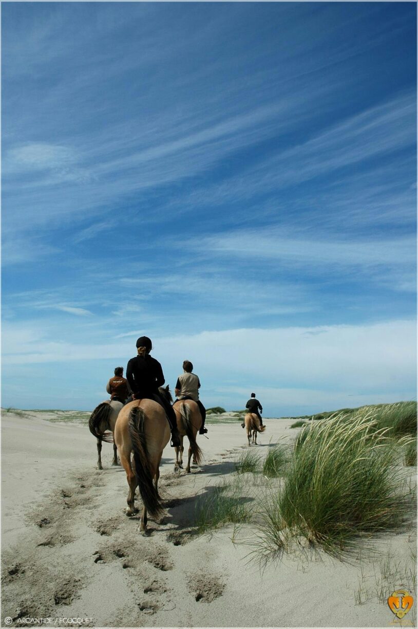 Camping Le Champ Neuf - Bild 18 Camping Le Champ Neuf - Bild 18