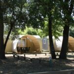 Camping Le Chenal - Bild 4