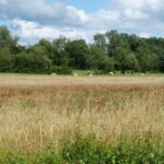 Camping Le Clos De La Lère - Bild 10