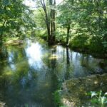 Camping Le Clos De La Lère - Bild 9