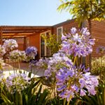 Camping Le Dauphin - Bild 2