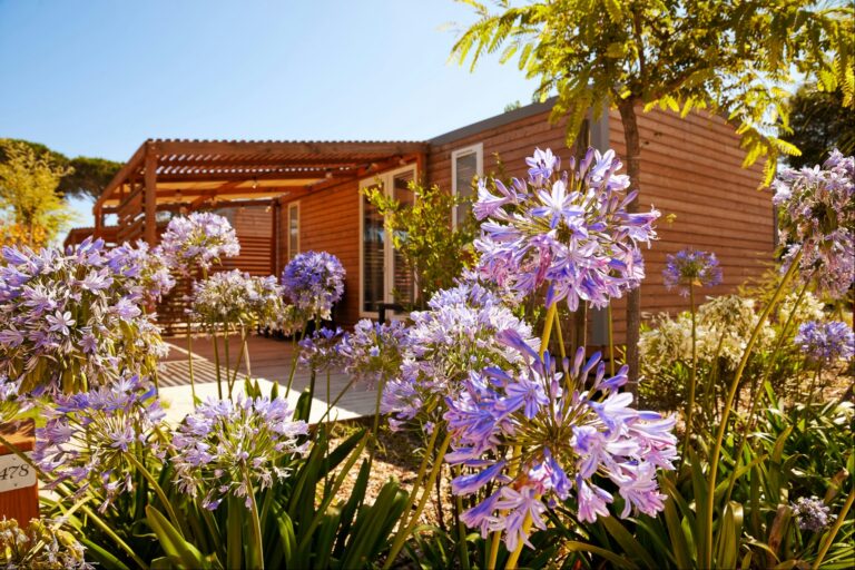 Camping Le Dauphin - Bild 2