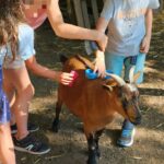 Camping Le Domaine Du Bois Coquet - Bild 13