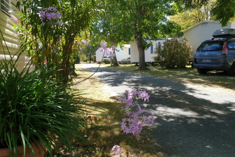 Camping Le Fief Melin - Bild 10