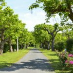 Camping Le Garrit - Bild 6