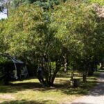 Camping Le Haras - Bild 5