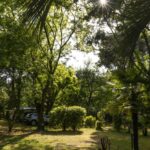 Camping Le Haras - Bild 1