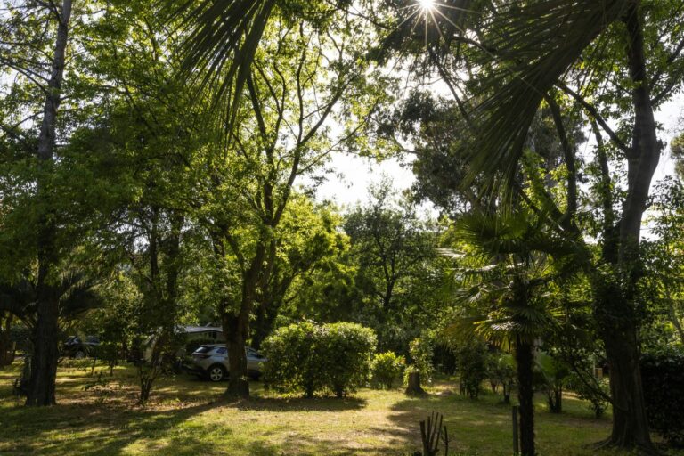 Camping Le Haras - Bild 1