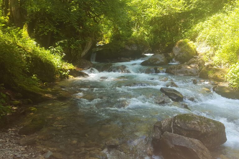 Camping Le Haut Salat - Bild 11