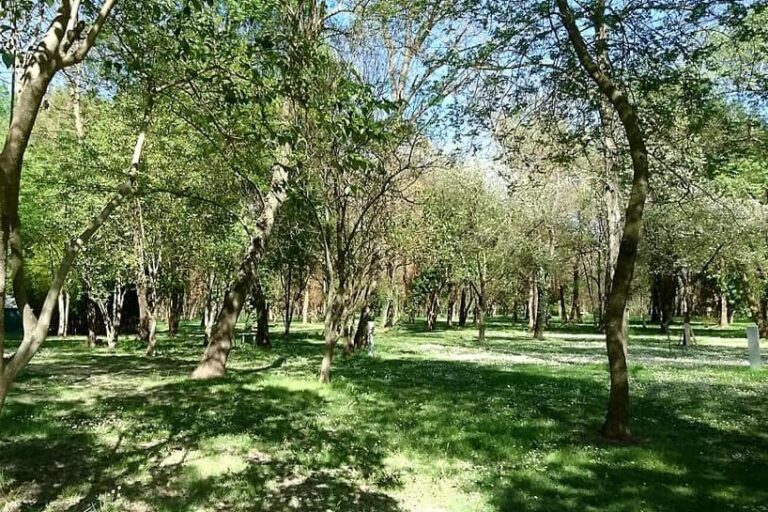 Camping Le Lion - Bild 16 Camping Le Lion - Bild 16