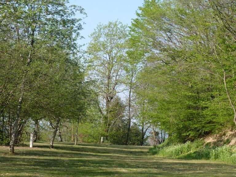 Camping Le Manoir De Bezolle - Bild 10 Camping Le Manoir De Bezolle - Bild 10