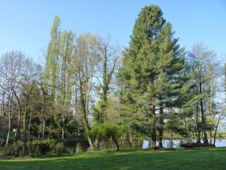 Camping Le Manoir De Bezolle - Bild 11 Camping Le Manoir De Bezolle - Bild 11