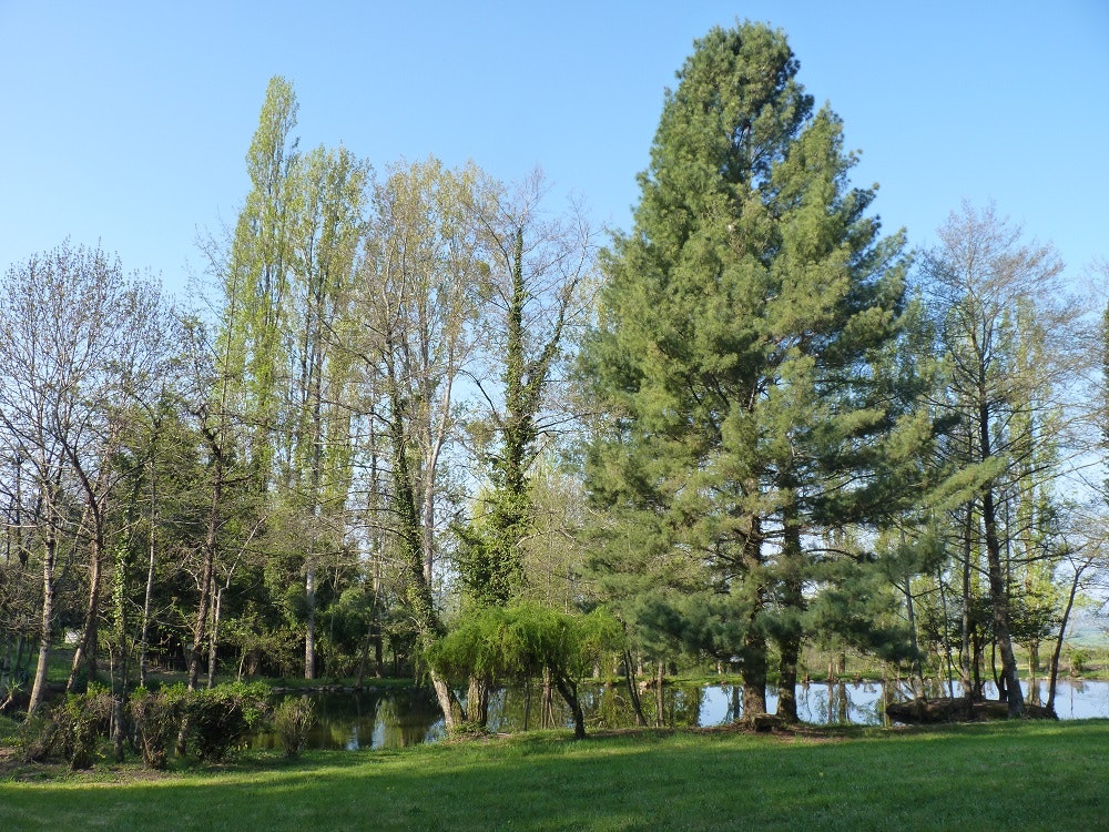 Camping Le Manoir De Bezolle - Bild 11 Camping Le Manoir De Bezolle - Bild 11