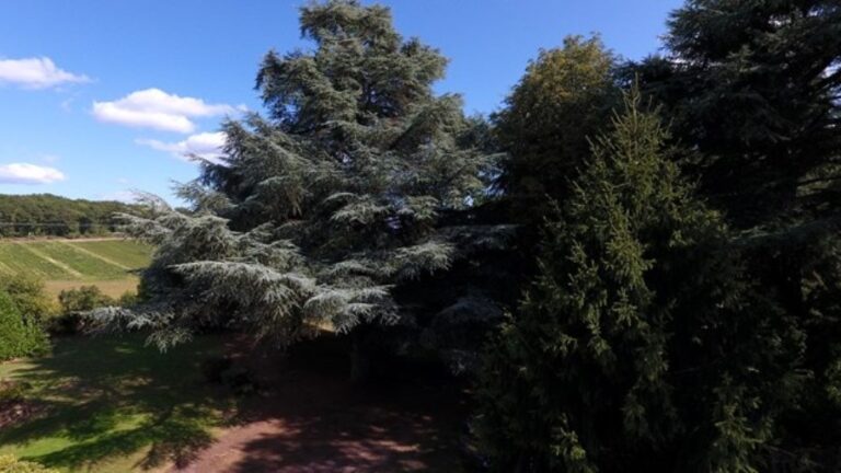 Camping Le Manoir De Bezolle - Bild 3 Camping Le Manoir De Bezolle - Bild 3