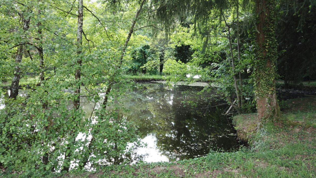 Camping Le Manoir De Bezolle - Bild 5 Camping Le Manoir De Bezolle - Bild 5