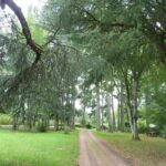 Camping Le Manoir De Bezolle - Bild 7 Camping Le Manoir De Bezolle - Bild 7