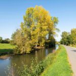 Camping Le Marais Sauvage - Bild 10