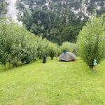 Camping Le Marais Sauvage - Bild 17