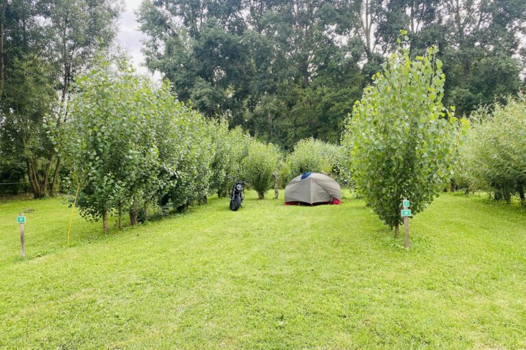 Camping Le Marais Sauvage - Bild 17