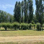 Camping Le Marais Sauvage - Bild 18